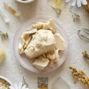 مواد البيز